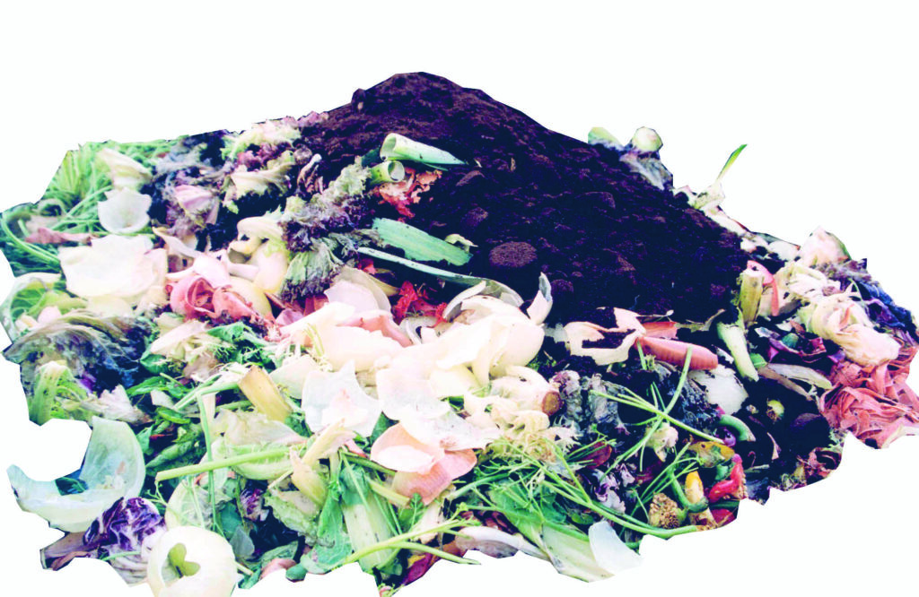 photo avec des déchets de cuisine